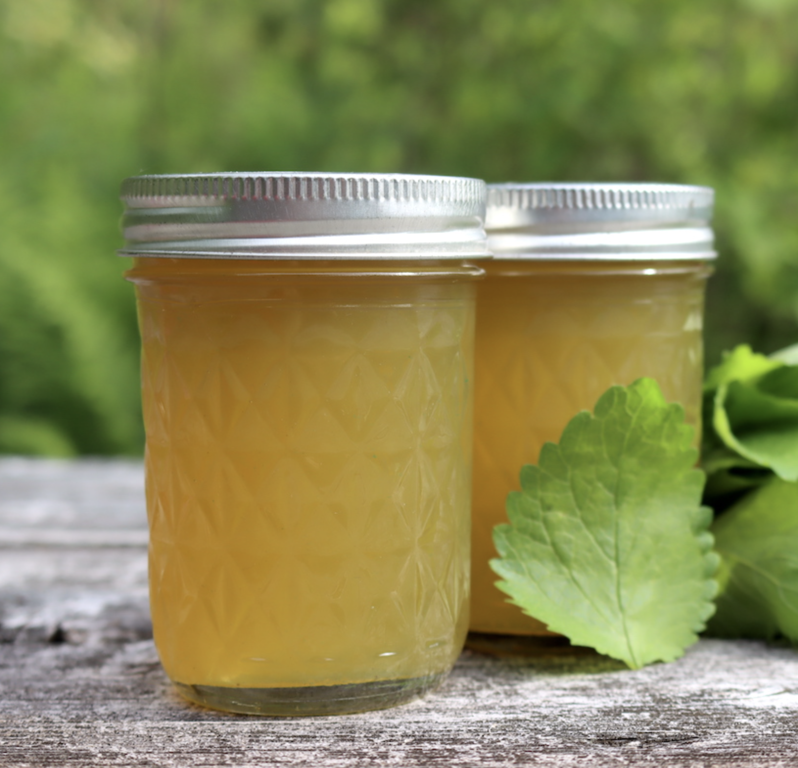 Lemon Balm Jelly