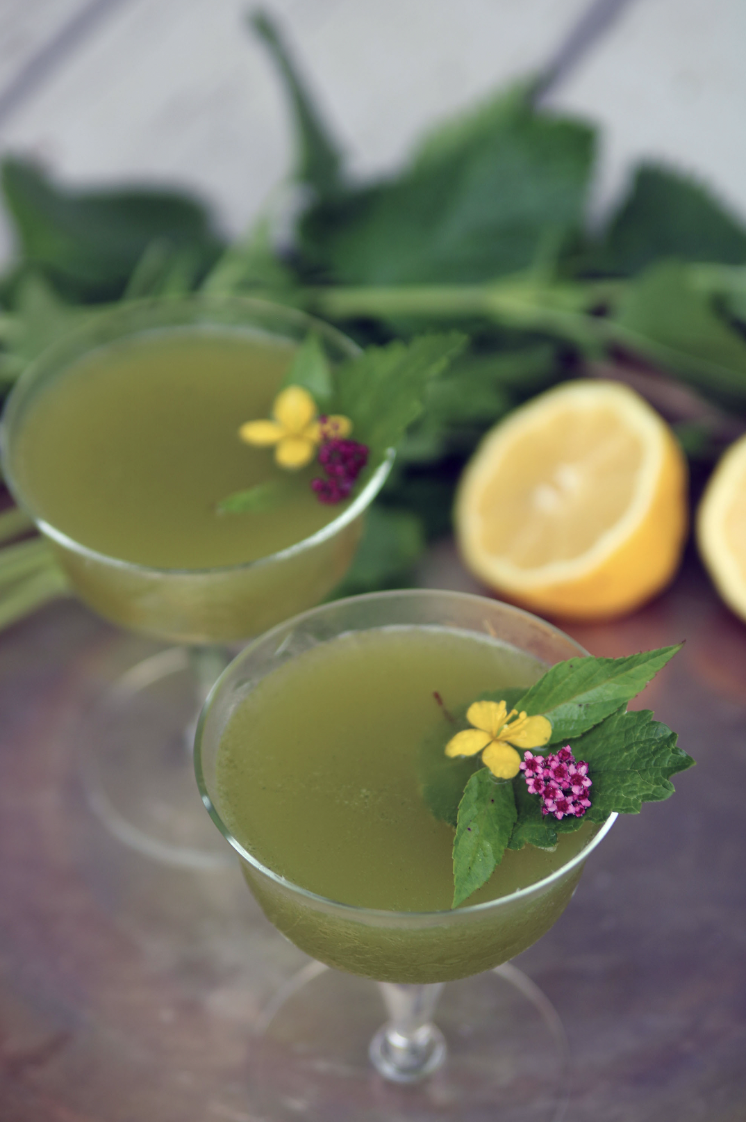 Lemon Balm Martini