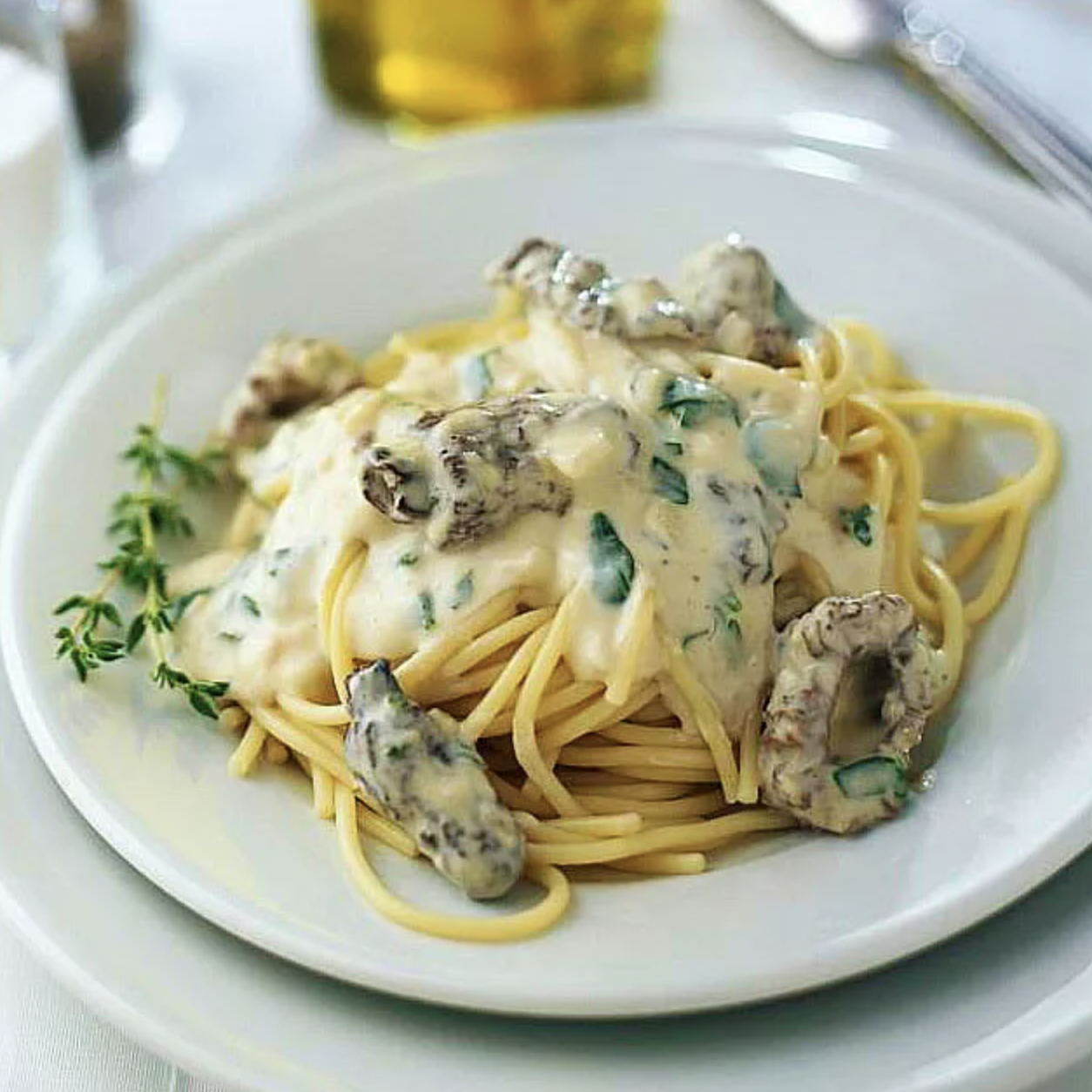 Morel Mushroom Cream Sauce with Pasta