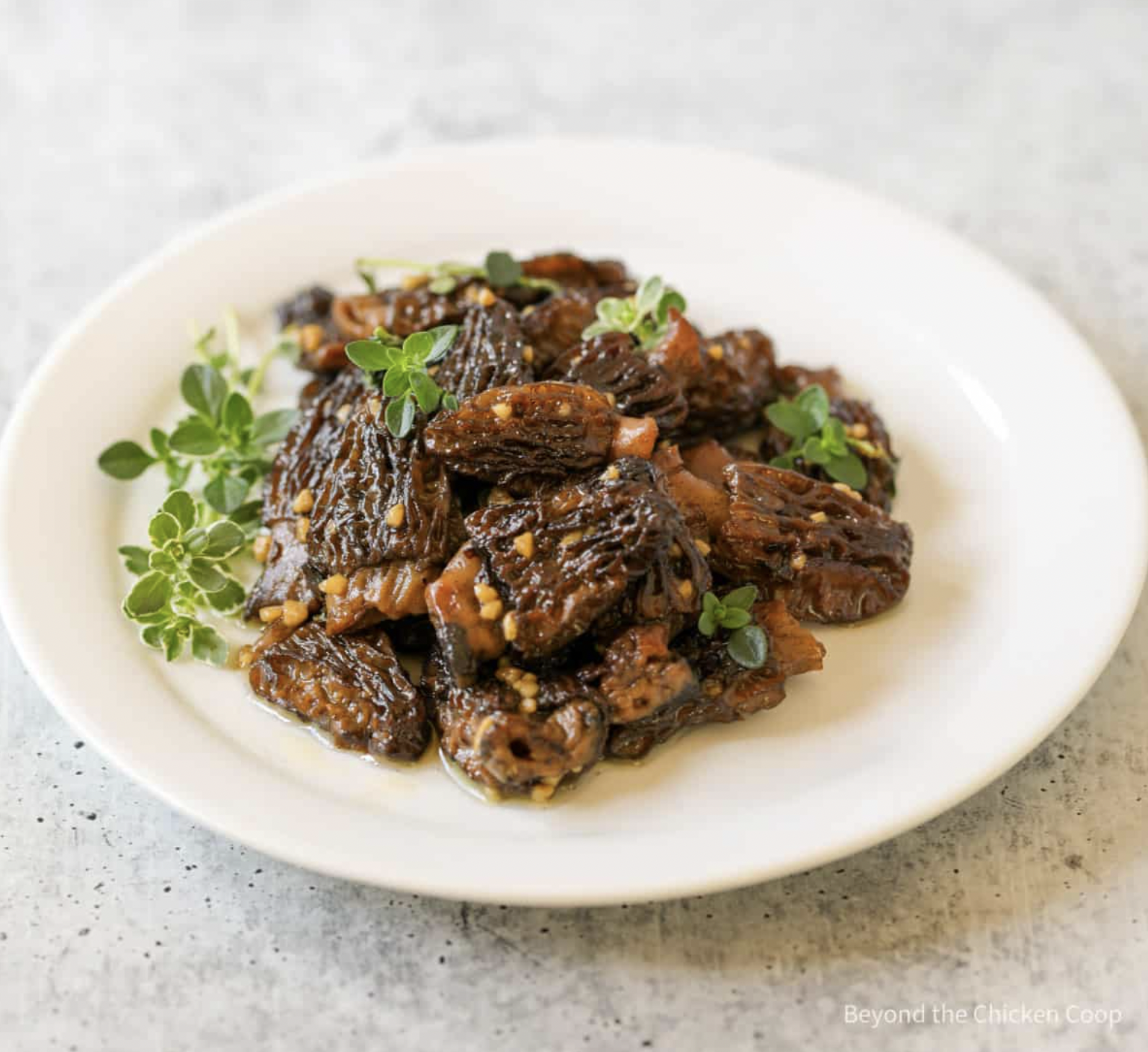 Sauteed Morel Mushrooms