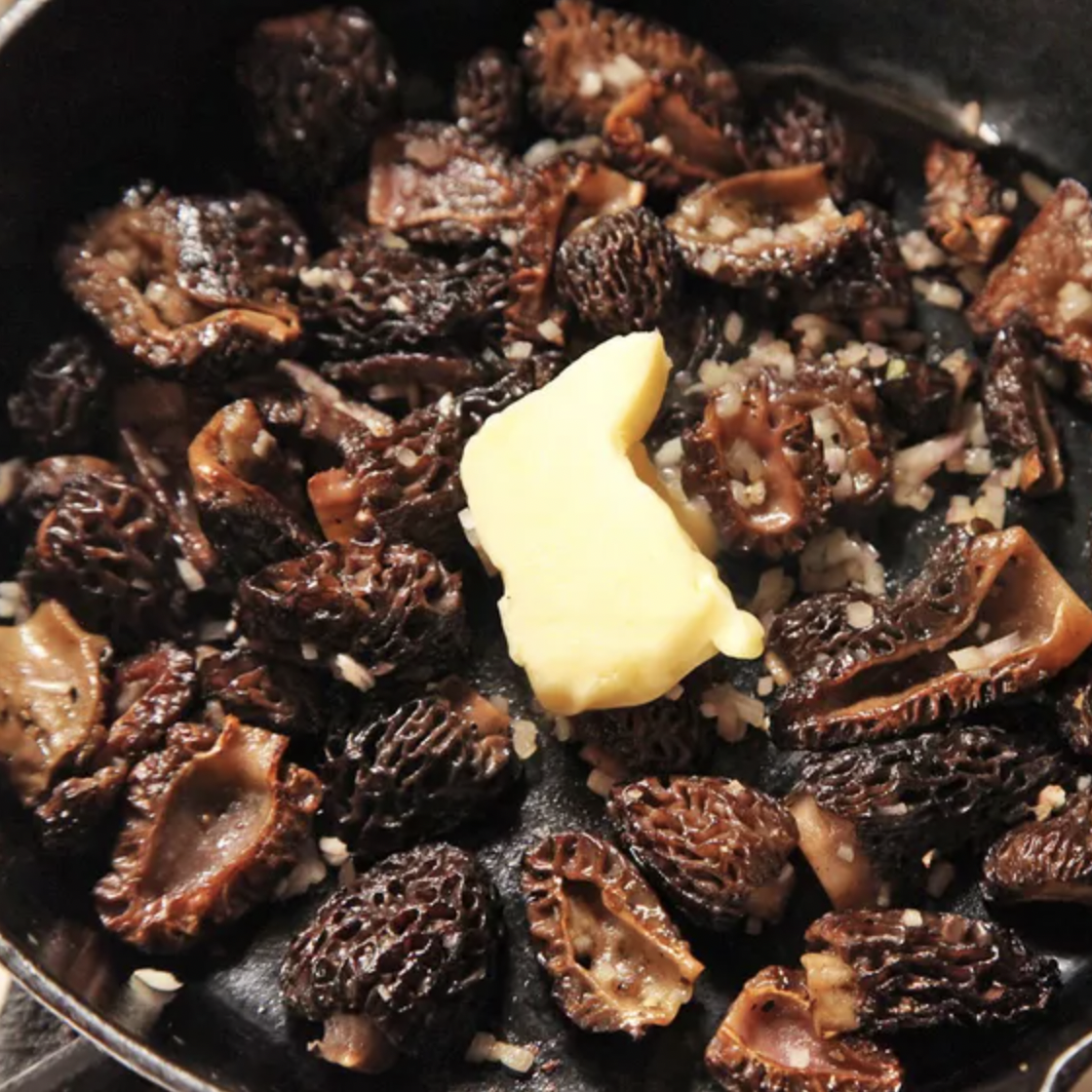 Sautéed Morel Mushrooms