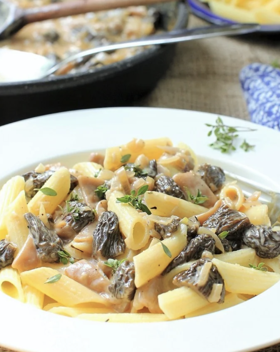 Pasta with Morel Mushrooms in a Delicate Cream Sauce