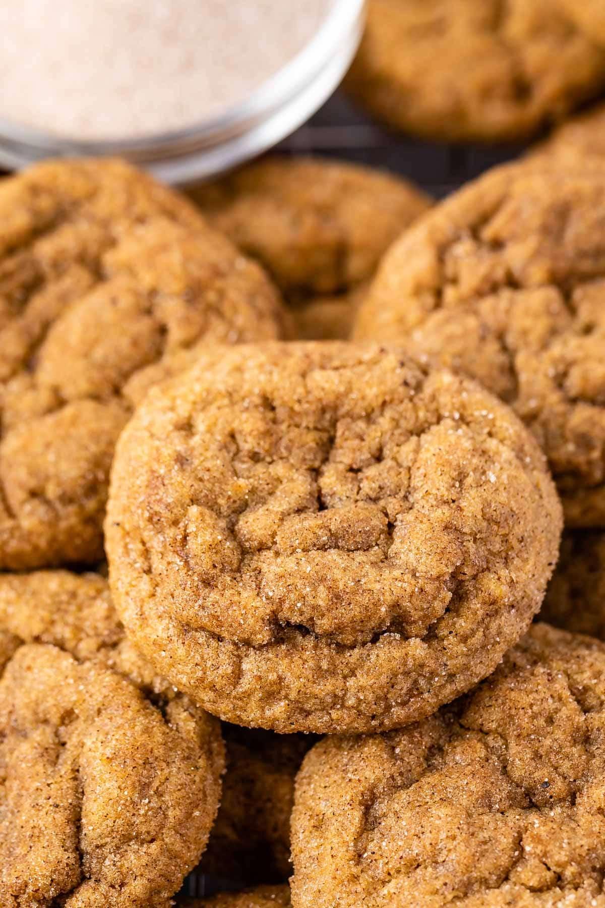 Pumpkin Snickerdoodles With Plain Old Cinnamon