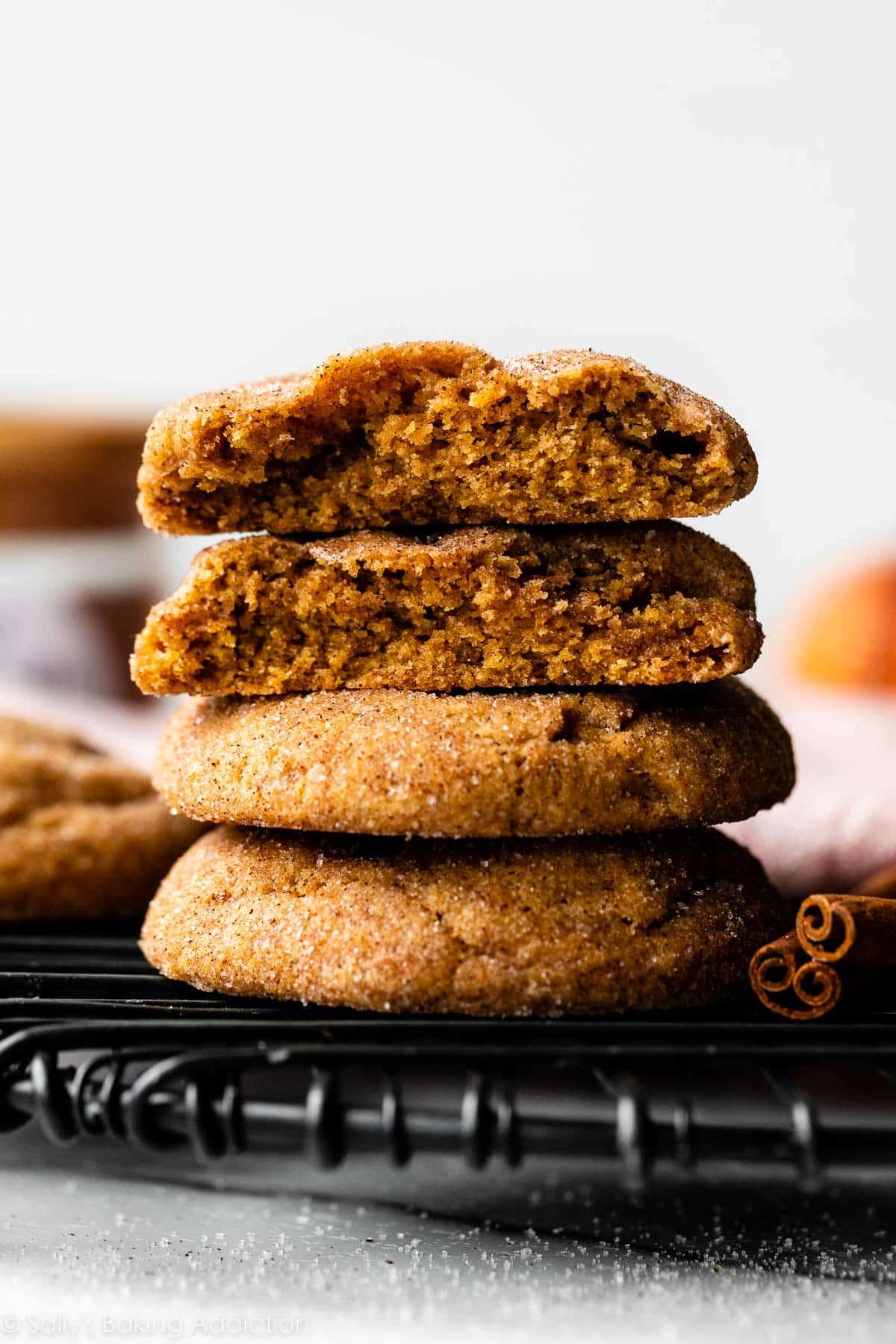 Autumn Bliss Pumpkin Snickerdoodles