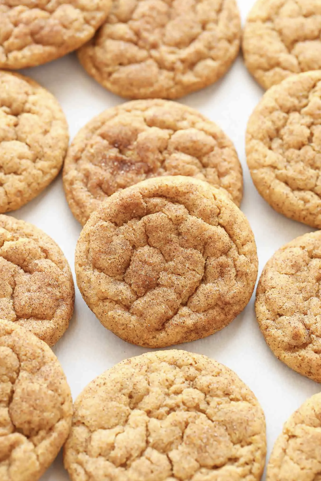 Spiced Pumpkin Snickerdoodle Delight