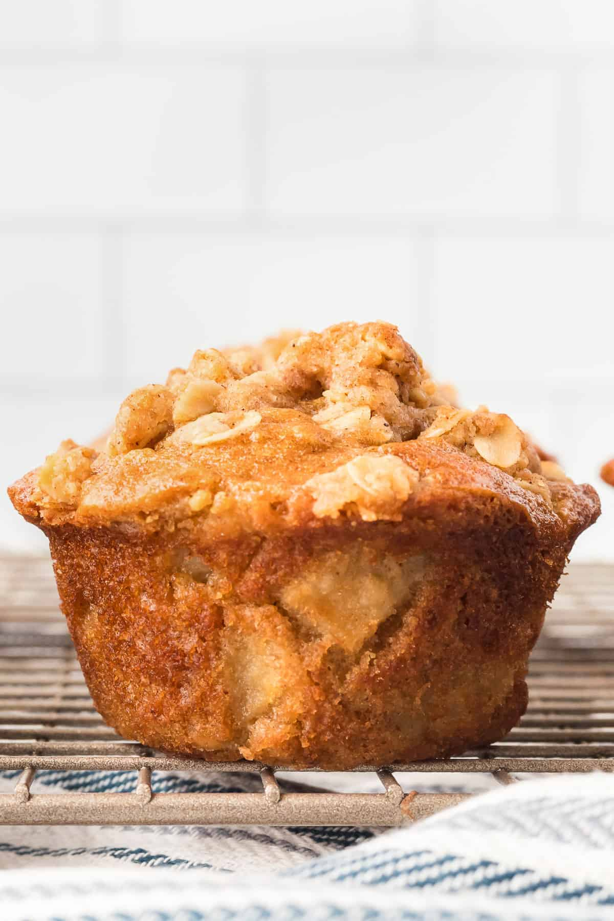 Apple Oatmeal Muffins