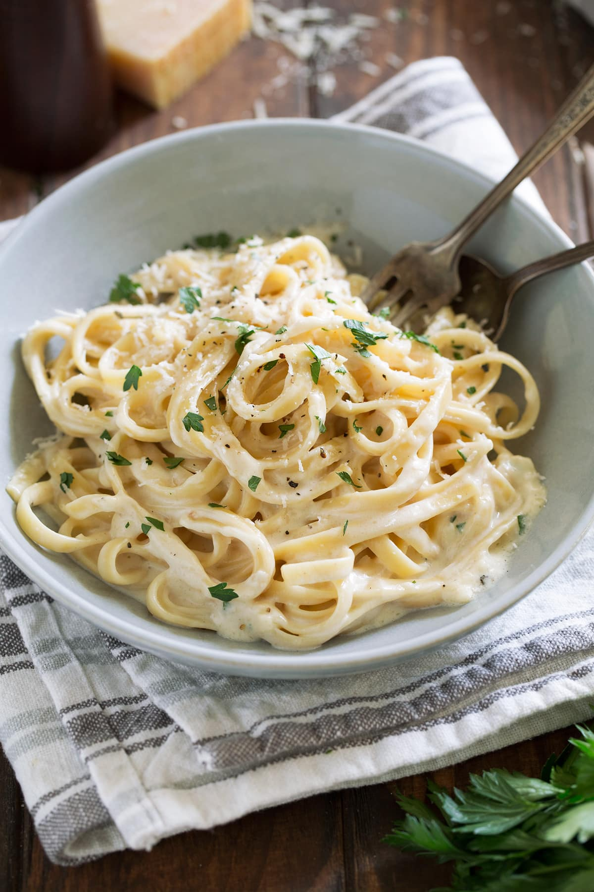 Ricotta Alfredo Pasta